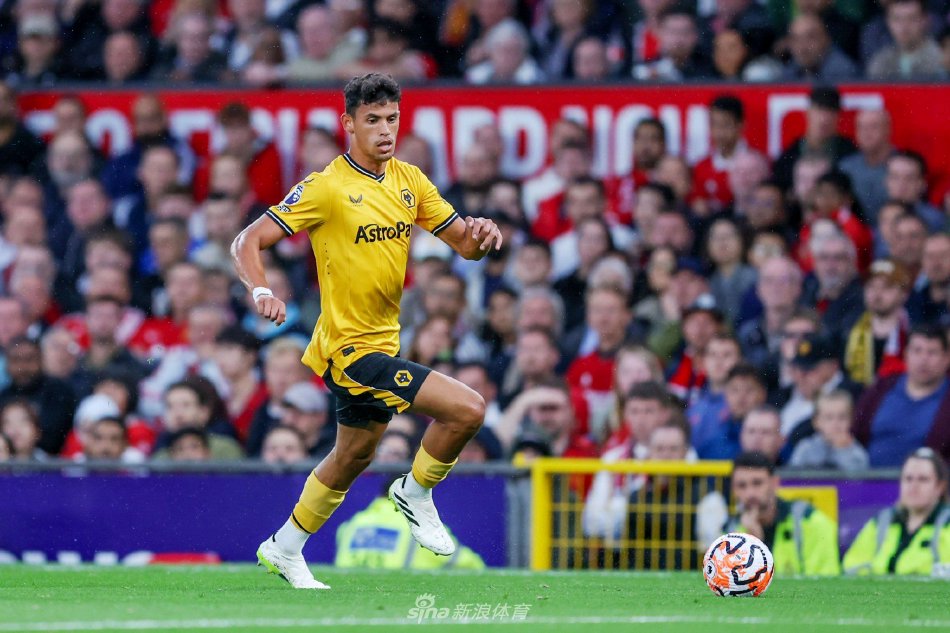 业内人士分 业内人士分