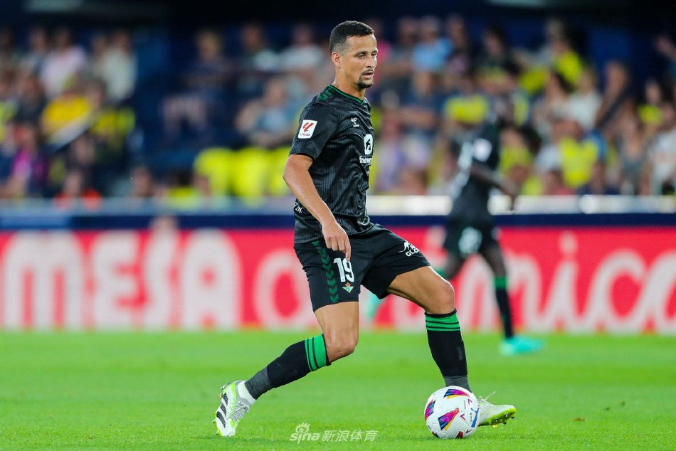 不仅巩固了 不仅巩固了